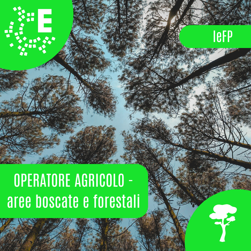 IeFP operatore agricolo aree boscate e forestali