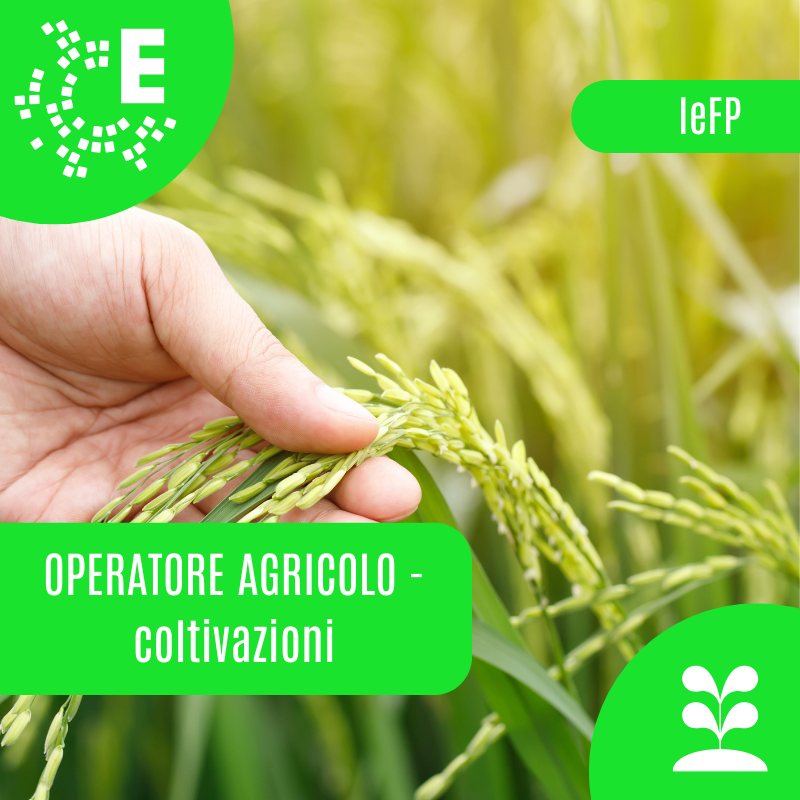 IeFP operatore agricolo coltivazioni