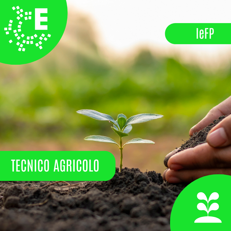 IeFP qualifica tecnico agricolo
