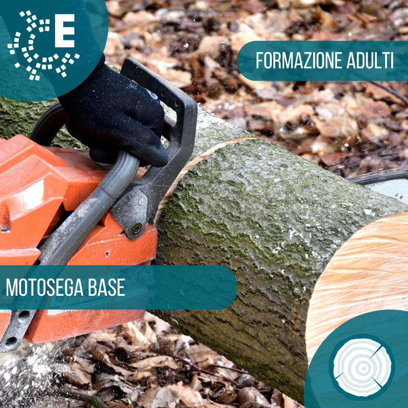 Corso per Motosega base per adulti