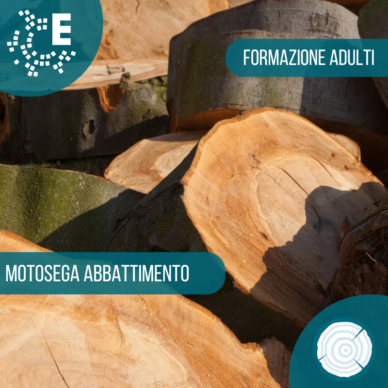 Corso motosega abbattimento per adulti