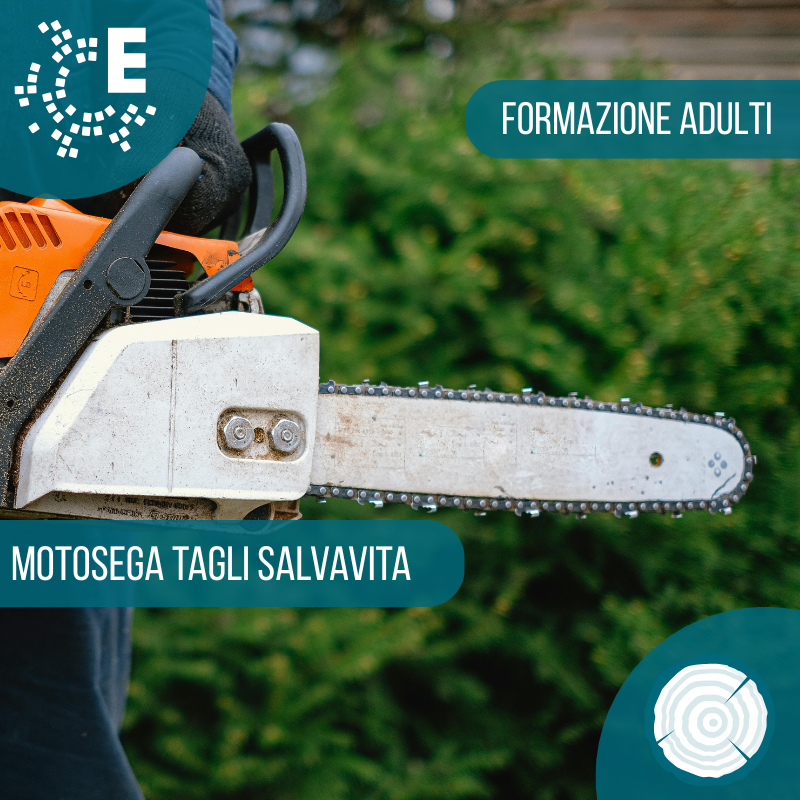 Corso motosega tagli salvavita per adulti